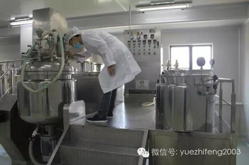 十年磨一剑 探访全国第一大冻干粉生产基地的专注与创新之路