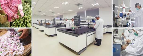 林清轩 一瓶山茶花油的品牌炼金术与400家门店的扩张之路