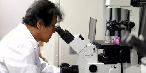 护肤领域新添猛将 馥茜美容护肤携手日本护肤专家实力来袭